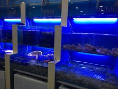 水产区-老虎滩大连海鲜烧烤(建邺云锦路总店)