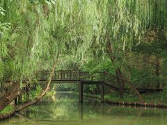 -同里国家湿地公园