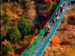 -狼牙山风景区