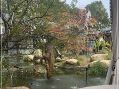 -湘力力小院·鱼汤泡饭(枫林路店)