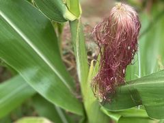 -东天目山风景区