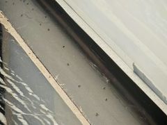 -华怡·金信酒店(潮州古城人民广场店)