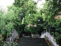 -宝通禅寺