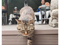 -正阳书局(西四南大街店)