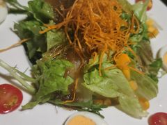 蔬菜沙拉-福匠日本料理(人民路店)