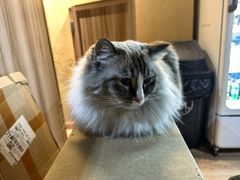 -白兔子密室(长寿路店)