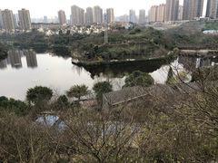 -重庆彩云湖湿地公园