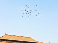 -东华门大街小区