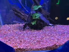 -沙沙哗啦海洋馆(华宇百花谷店)