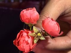 -港澳广场购物中心