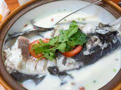 -全乐鱼馆·淳牌有机鱼直营店
