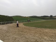 -迪茵湖田家舍生态农场