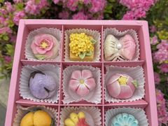 -稻香村(观前街店)