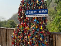 -西双版纳原始森林公园