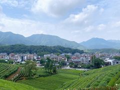 -龙坞茶村
