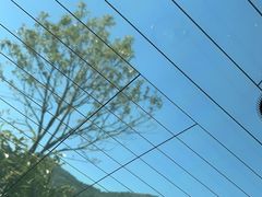 -玉苍山国家森林公园