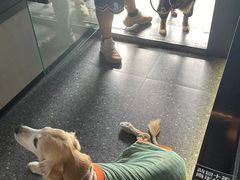 -背包十年青年旅舍(成都太古里春熙路店)