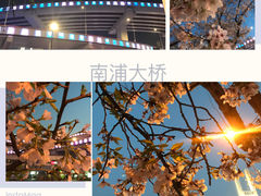 -上海南浦大桥长途旅游客运站