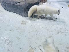 -海合安青岛极地海洋公园