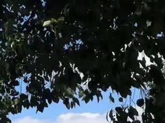 -南京市江宁方山