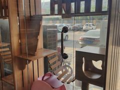 -猫十亿·布偶金渐层·曼基康矮脚猫舍(青年路店)