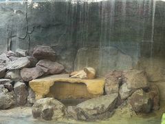 -广州长隆飞鸟乐园