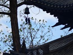 -护国法轮寺