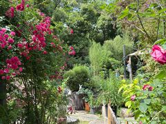 -谷咖啡·鲜花绿植花园餐厅