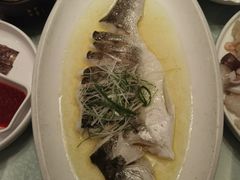 -同济大酒店(绿宝广场店)