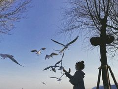 -滇池海埂公园
