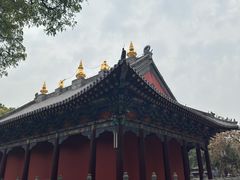-护国法轮寺