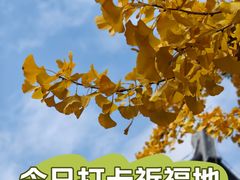-梅村泰伯庙