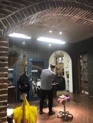 -Hair Solo