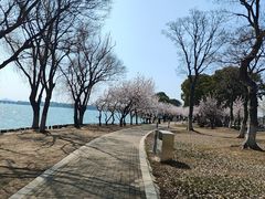 -阳澄湖半岛旅游度假区