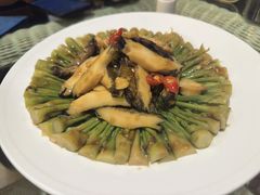 凉拌鲍鱼次嫩芽-皇朝海鲜酒店