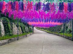 -北京十三陵国家森林公园蟒山景区