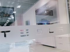 -TESLA 特斯拉(深圳观澜特斯拉直营钣喷中心)