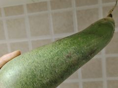 -天津梅江会展中心