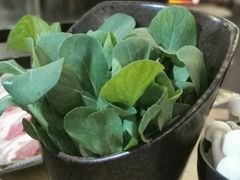 鸡毛菜-新草堂锅物料理(泉城路店)