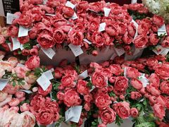 -宜家家居(高新商场店)