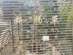 -广州神农草堂中医药博物馆