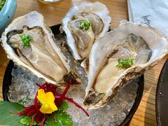 -Hatsune隐泉日式料理(三里屯太古里店)
