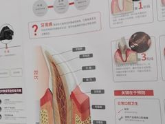 -心仪动物医院·牙专科·肿瘤·心脏科(西客站院)
