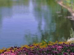 -上海共青森林公园