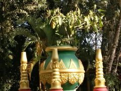 -瑞丽独树成林风景区