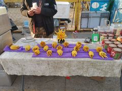 -中环花鸟鱼虫市场