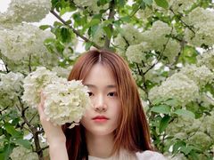 -大龙山(地铁站)