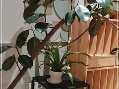 -一尺花园(安和花园店)