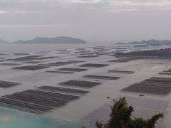 -北岐滩涂