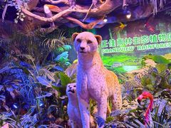 -正佳雨林生态植物园